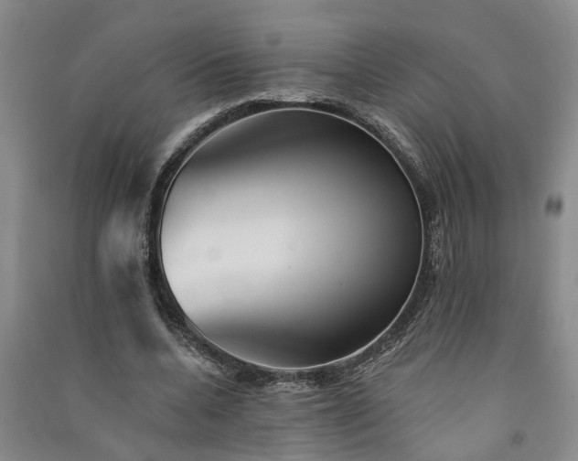 X0000091370536200708171547