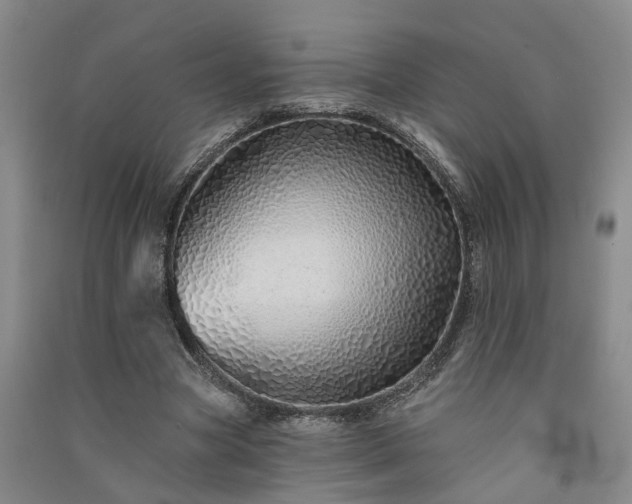 X0000091370537200708171547