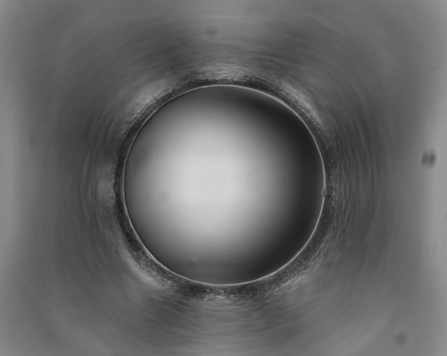 X0000091370538200708171547