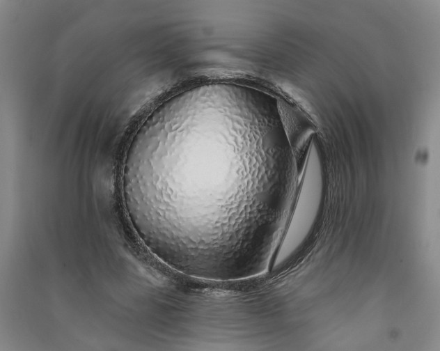 X0000091370539200708171547