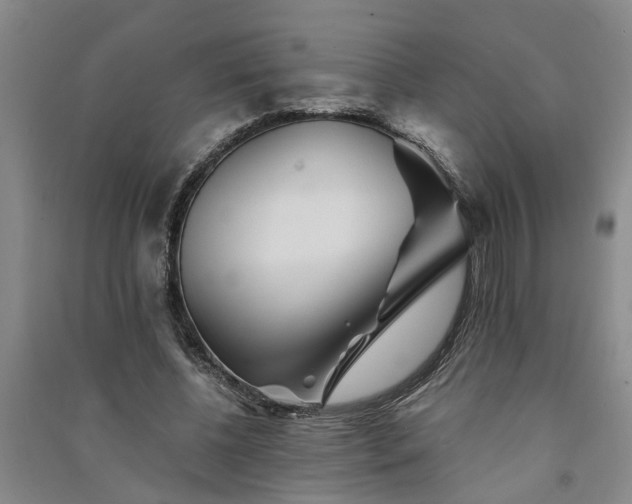 X0000091370540200708171547