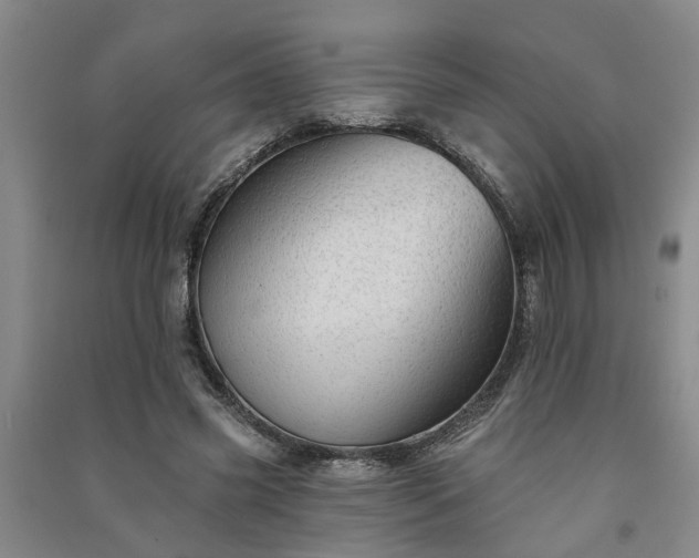 X0000091370541200708171547