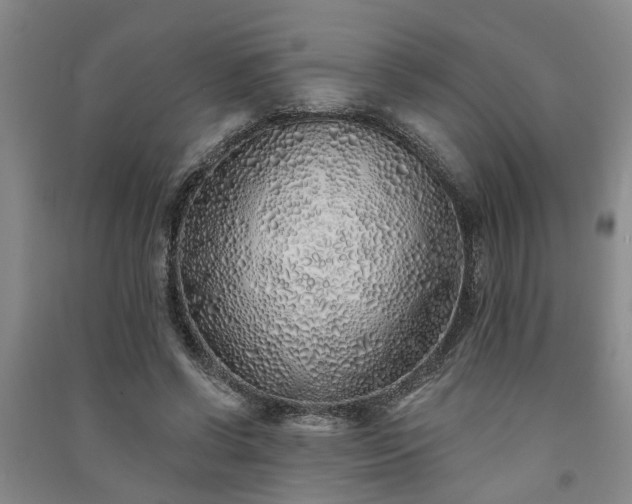 X0000091370542200708171547