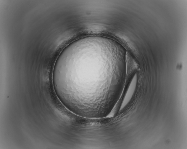 X0000091370543200708171547