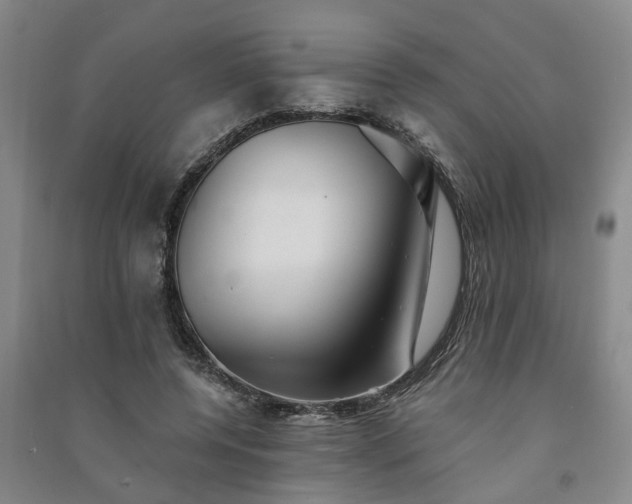 X0000091370544200708171547