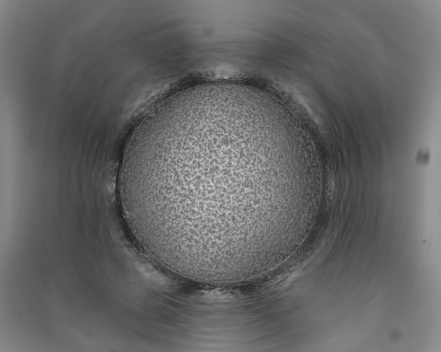 X0000091370545200708171547