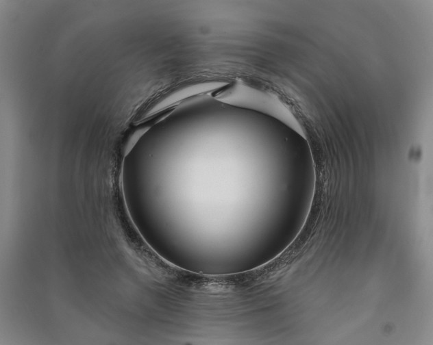 X0000091370546200708171547