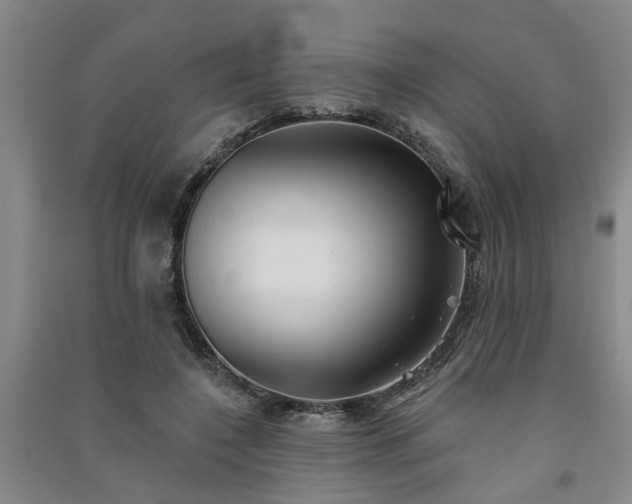 X0000091370548200708171547