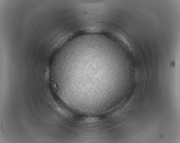 X0000091370549200708171547