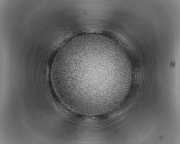 X0000091370550200708171547