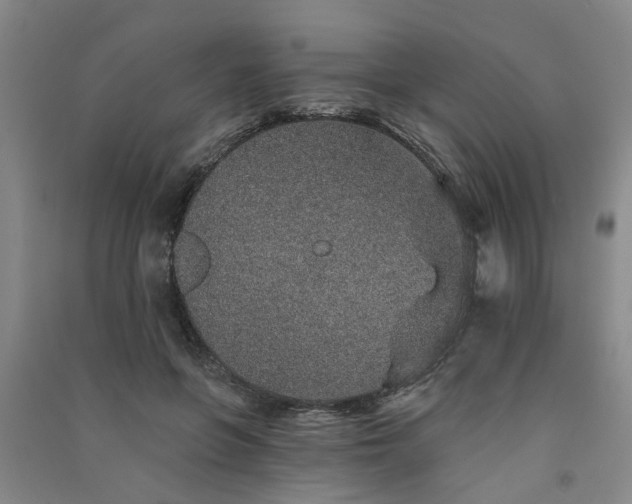 X0000091370551200708171547