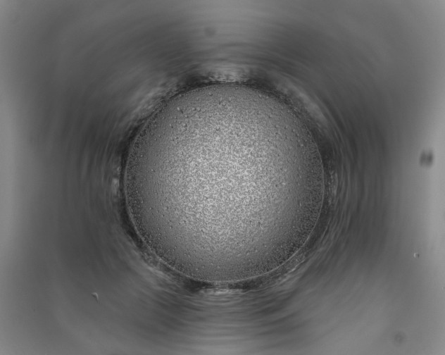 X0000091370553200708171547