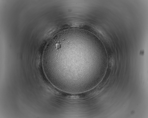 X0000091370554200708171547