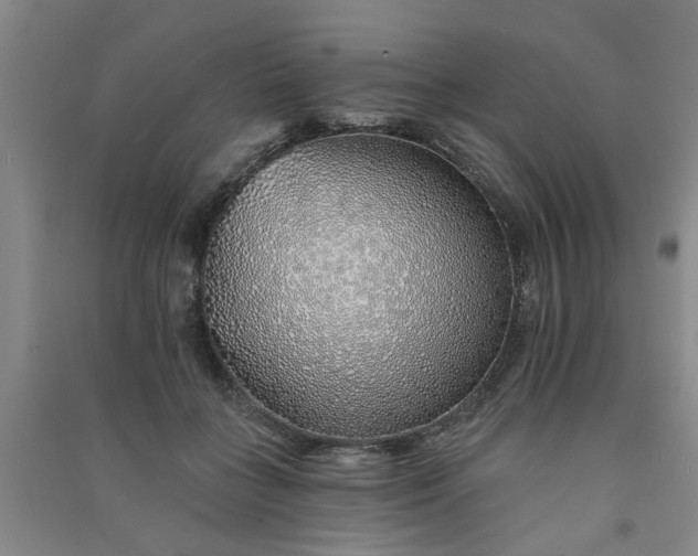 X0000091370555200708171547