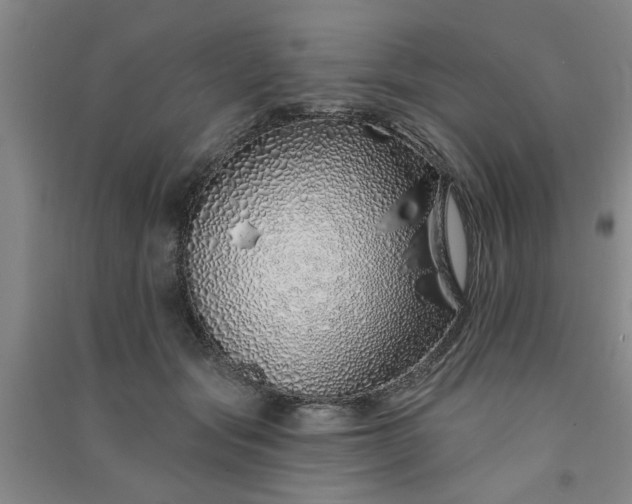 X0000091370557200708171547