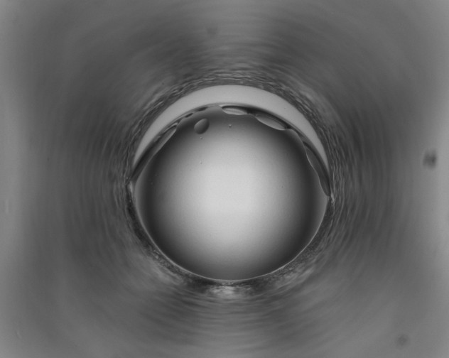 X0000091370558200708171547