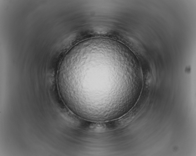 X0000091370559200708171547