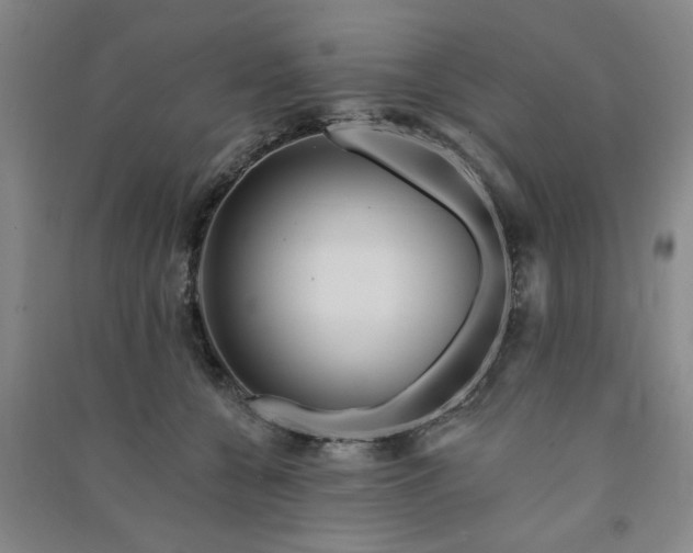 X0000091370560200708171547