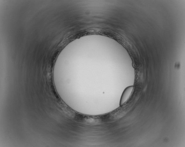 X0000091370561200708171547