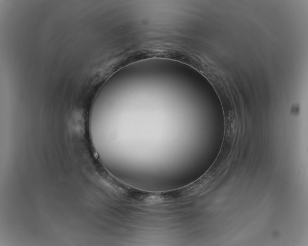 X0000091370562200708171547