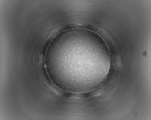 X0000091370563200708171547