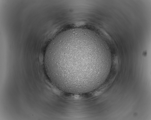 X0000091370565200708171547