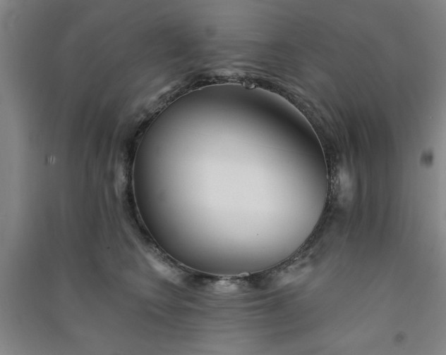 X0000091370566200708171547