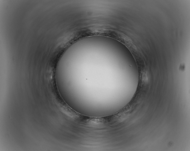 X0000091370567200708171547