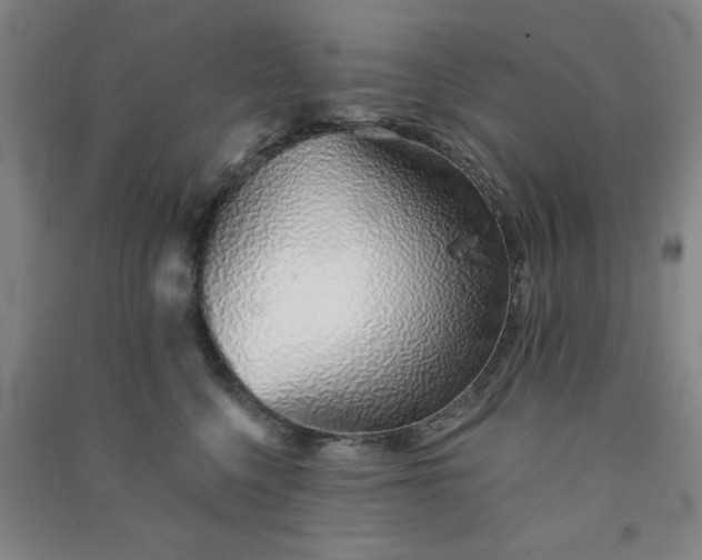 X0000091370568200708171547