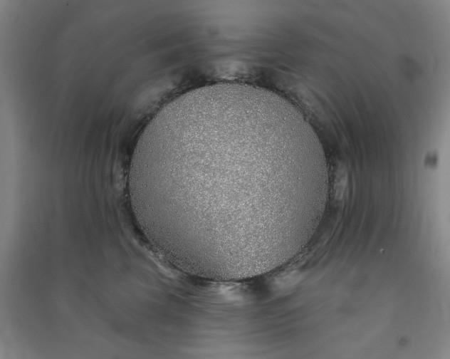 X0000091370569200708171547