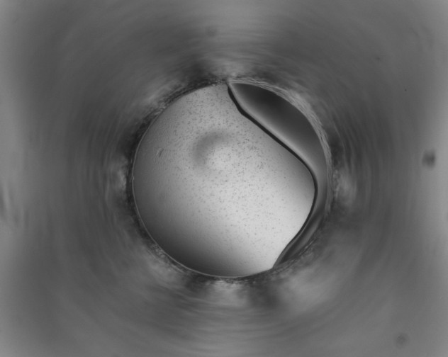 X0000091370570200708171547