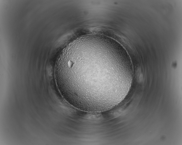 X0000091370571200708171547