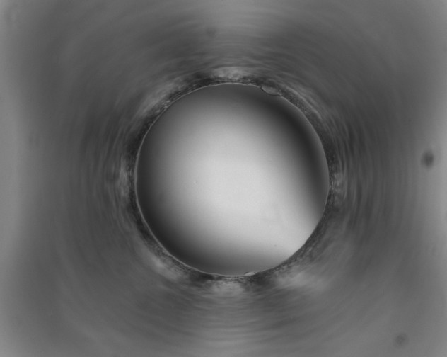 X0000091370572200708171547