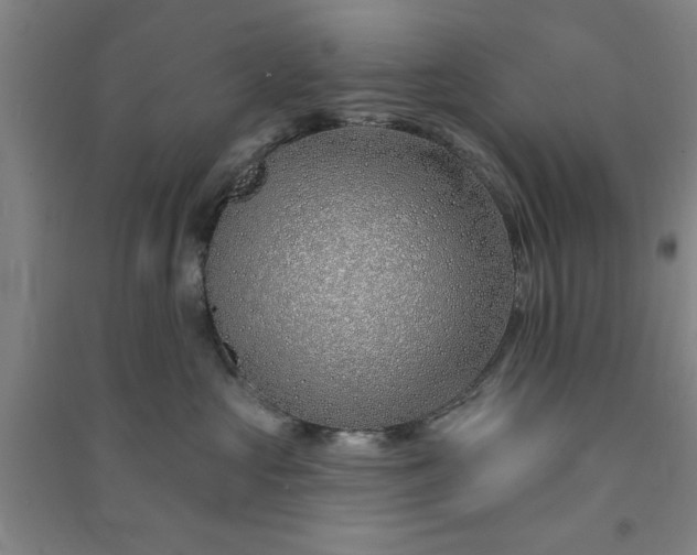 X0000091370573200708171547