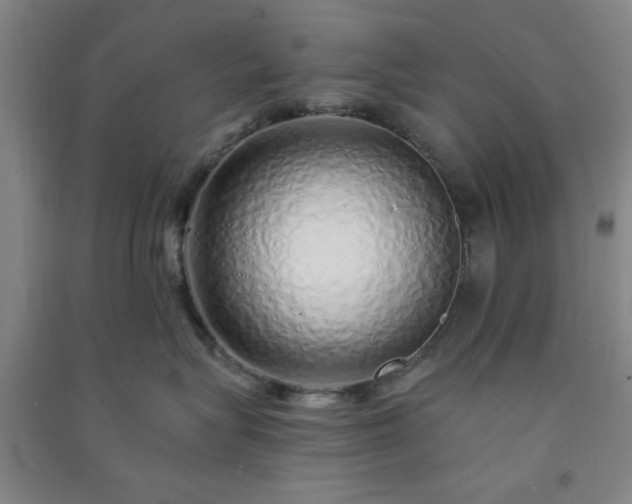 X0000091370575200708171547