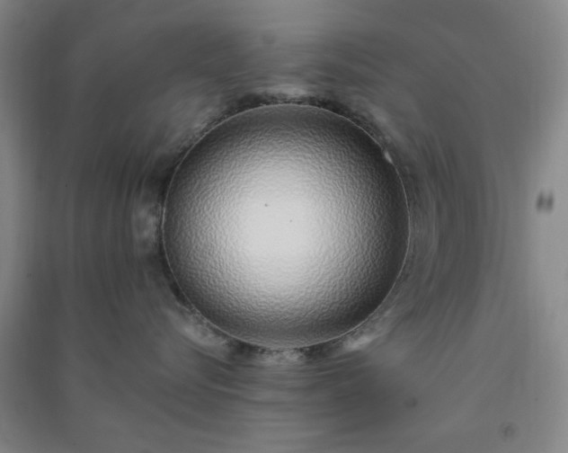 X0000091370576200708171547