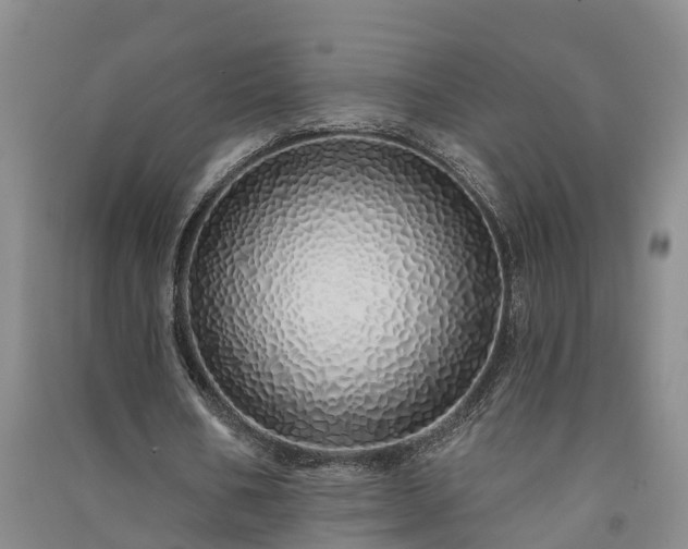 X0000091370578200708171547