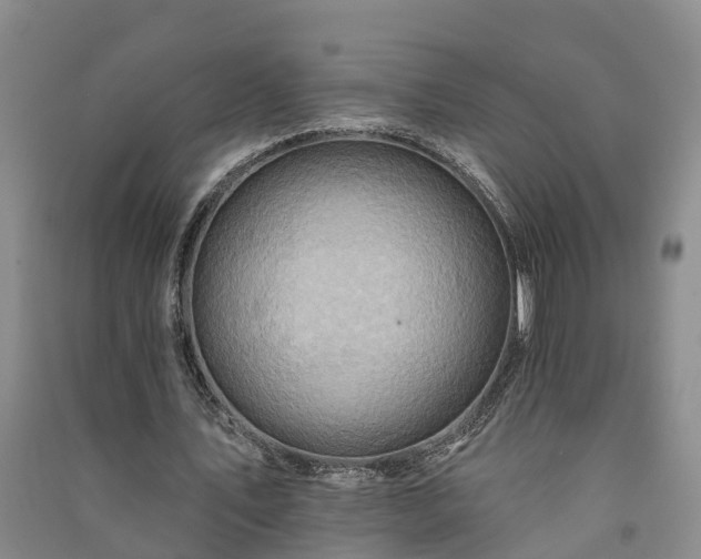 X0000091370579200708171547