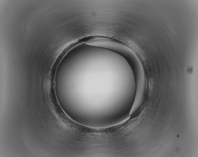 X0000091370580200708171547