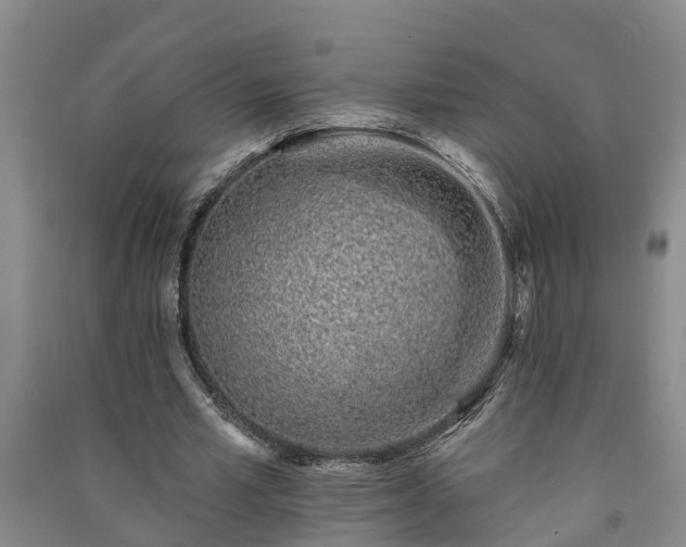 X0000091370581200708171547