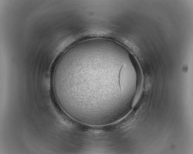 X0000091370582200708171547