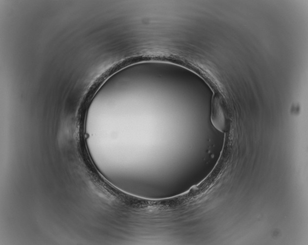 X0000091370584200708171547