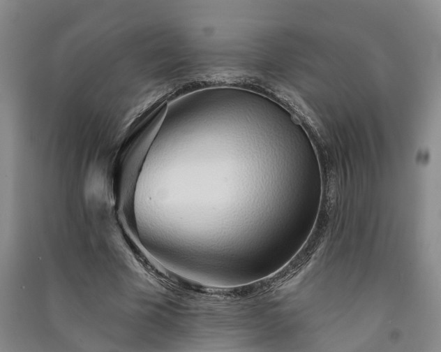 X0000091370585200708171547