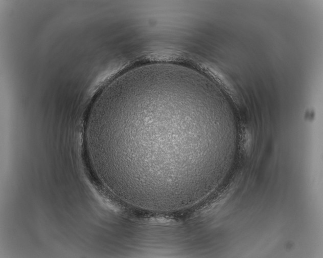 X0000091370586200708171547