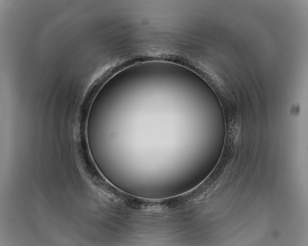 X0000091370587200708171547