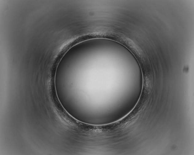 X0000091370588200708171547