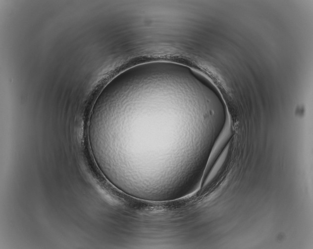 X0000091370589200708171547