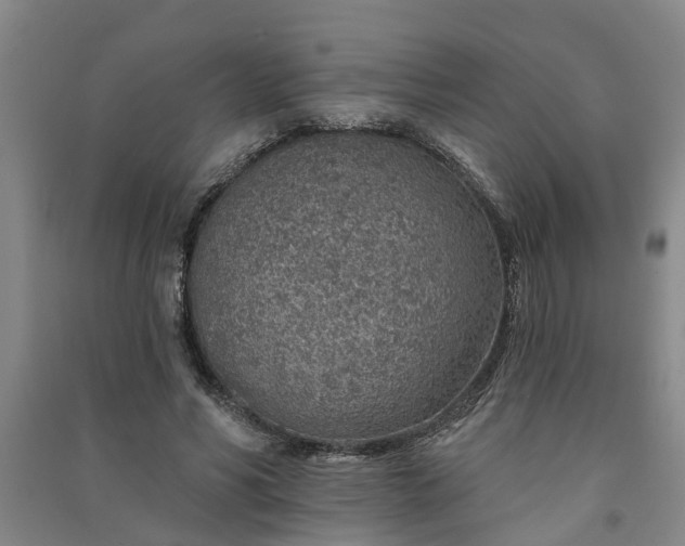 X0000091370590200708171547