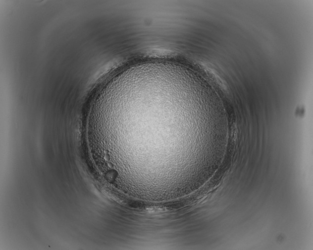 X0000091370591200708171547