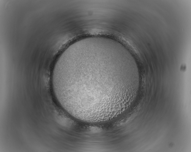 X0000091370592200708171547